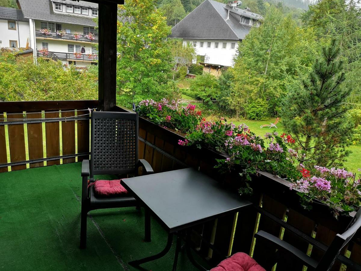 B4 Albmatte Apartamento Menzenschwand-Hinterdorf Exterior foto
