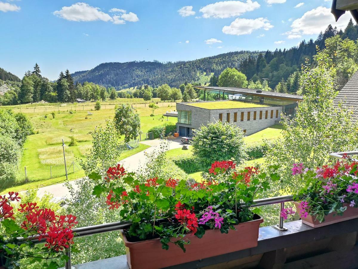 B4 Albmatte Apartamento Menzenschwand-Hinterdorf Exterior foto